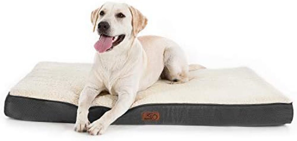 Orthopedic Dog Bed - 51SeH15qaQL. AC